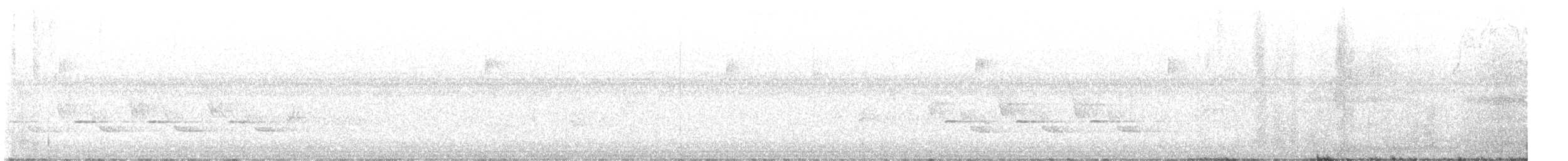 střízlík karolínský - ML640075473