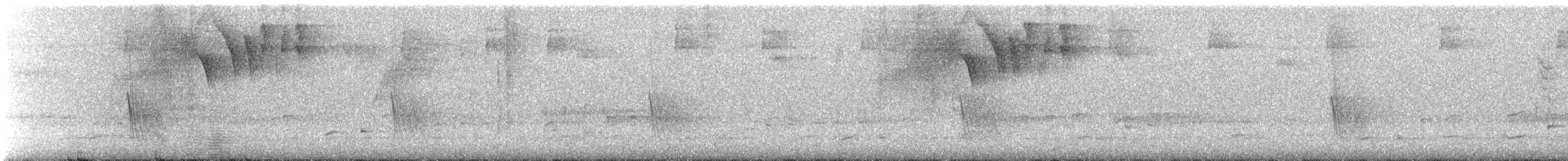 Caribbean Martin - ML640079700