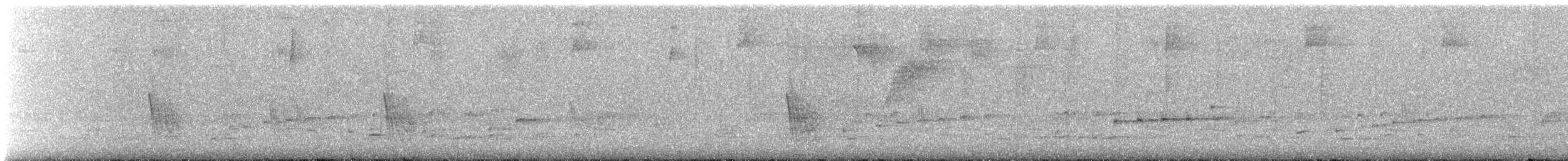 Caribbean Martin - ML640079701