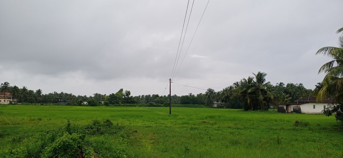 null - ML640079754