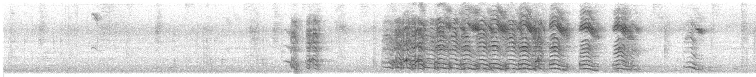 blåpanneamazon - ML640081662