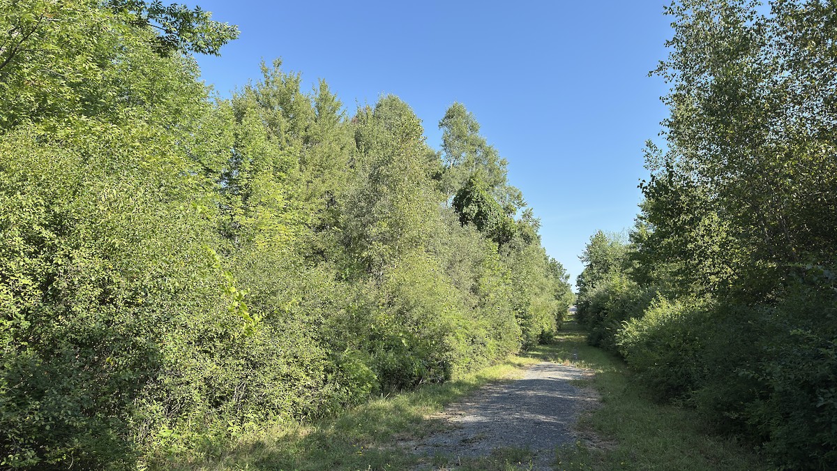 null - ML640082739
