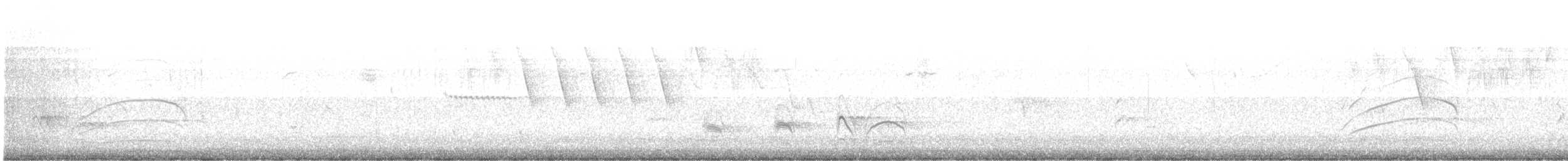 Grassland Sparrow - ML640082811