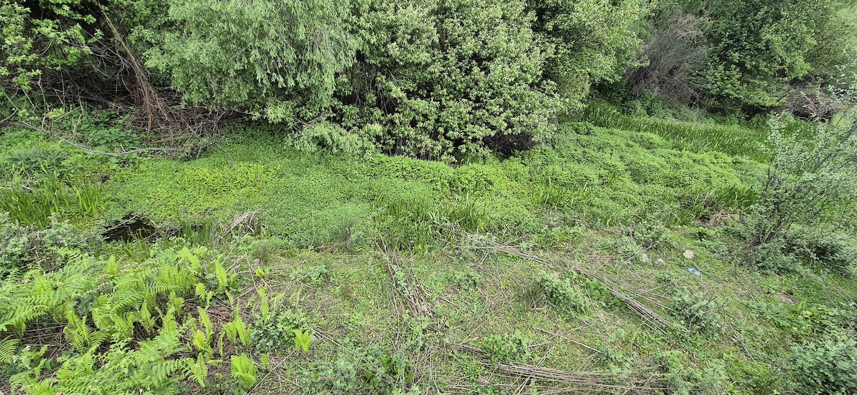 null - ML640083663