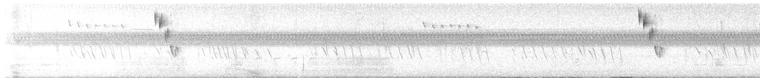 Henslow's Sparrow - ML640083740
