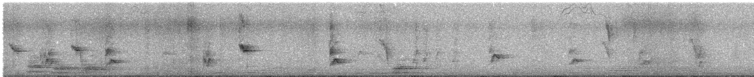 House Sparrow - ML640083753