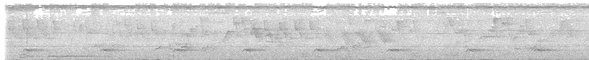 Blue-eared Barbet - ML640084242