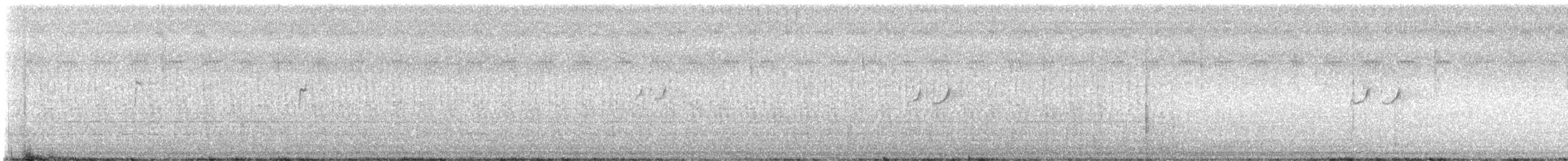 Solitary Sandpiper - ML640085394