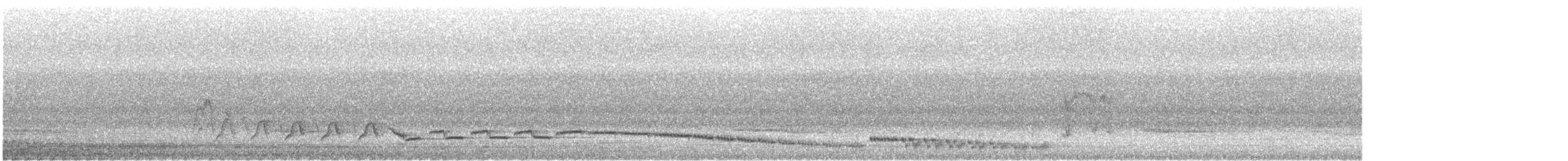 White-browed Shama - ML640086494