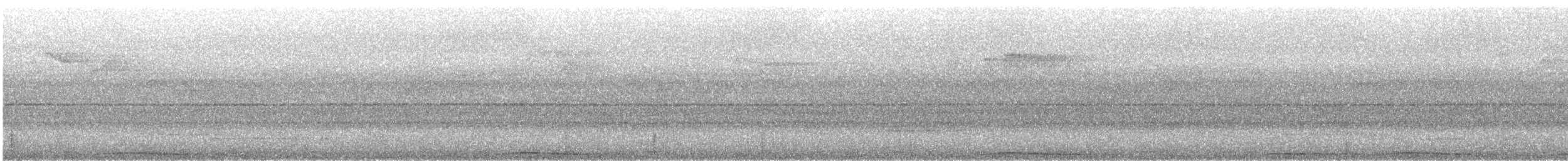 Luzon Bleeding-heart - ML640086682