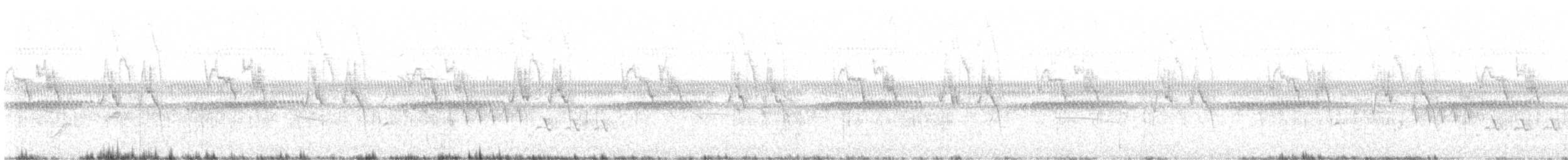 Southern House Wren - ML640086962