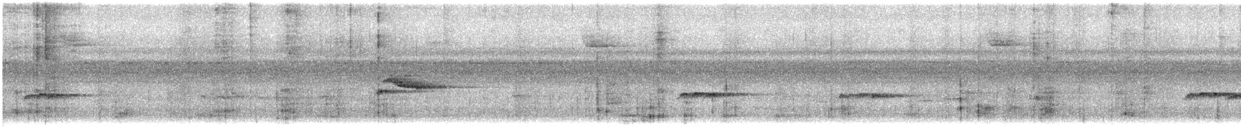 Piratic Flycatcher - ML640089117