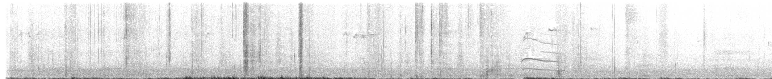hawk sp. - ML640089877