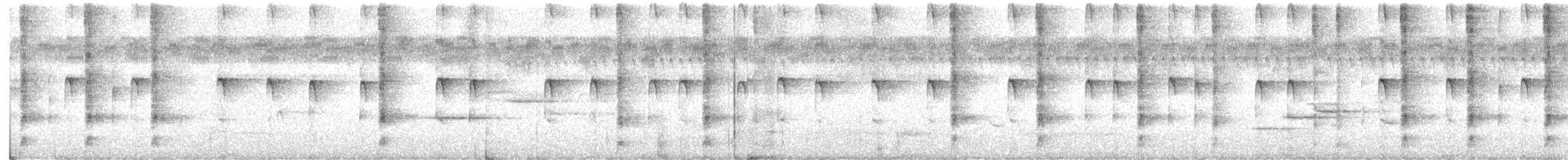 Ardilla roja americana - ML640092812