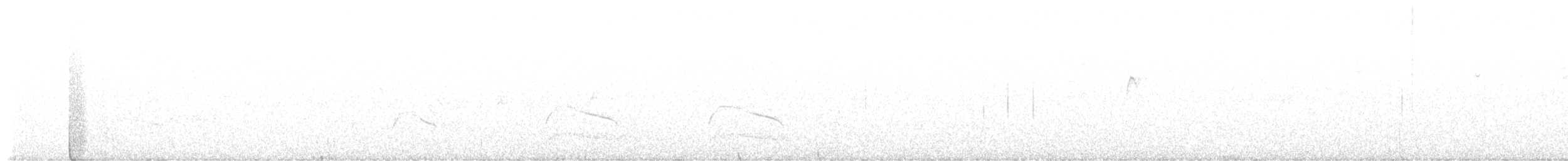 American Goshawk - ML640094377