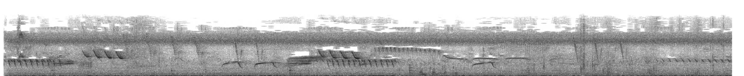 Gray-capped Warbler - ML640094648