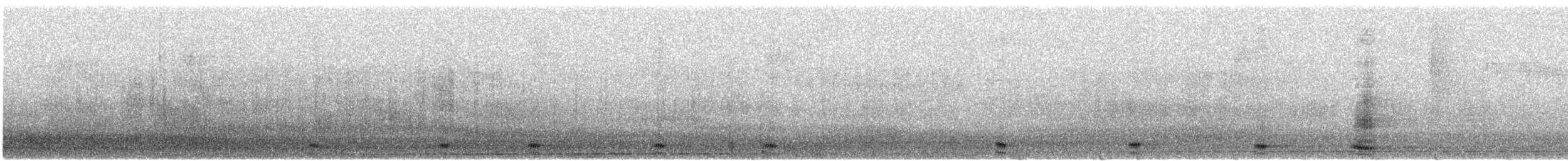 Common Raven - ML640094761