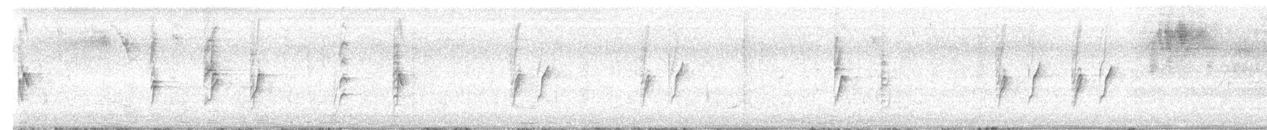 Pin-tailed Whydah - ML640096659