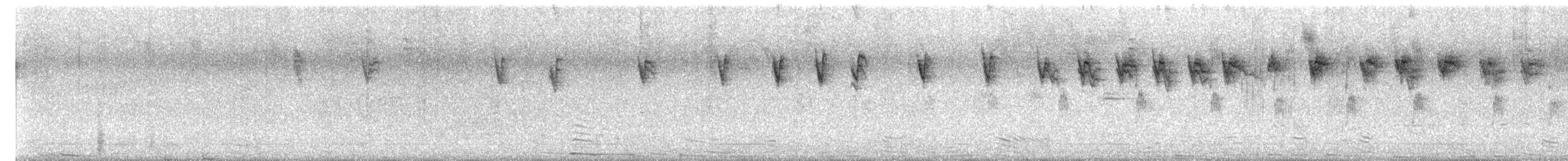 svarthettebisp - ML640096906