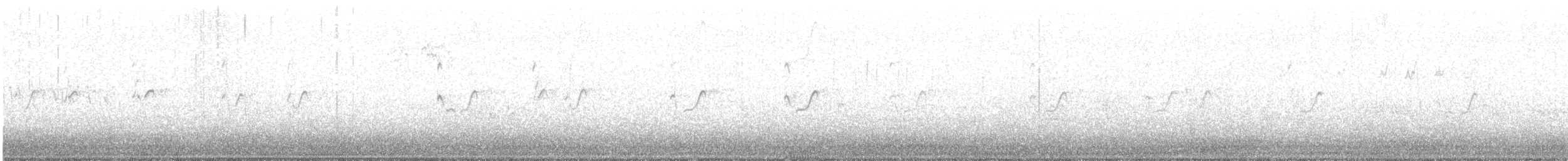 Цагаан сүүлт хөгчүү - ML640097092