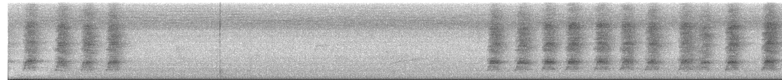 White-throated Magpie-Jay - ML640097744