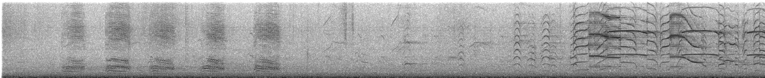 Hooded Crow - ML640098769