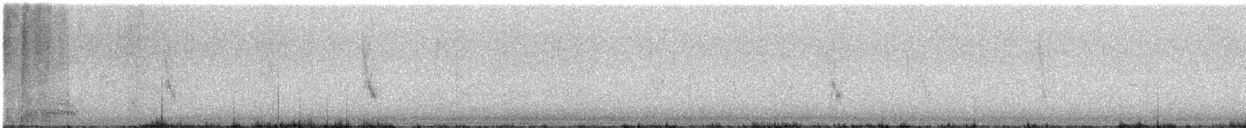 Hooded Crow - ML640098770