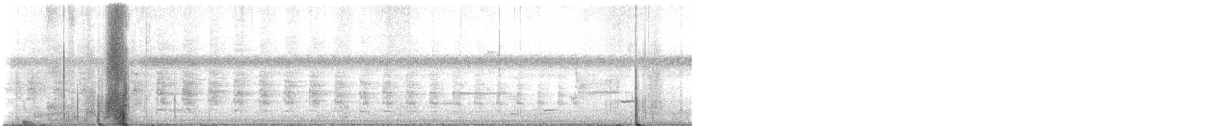 Clapper Rail - ML640098817