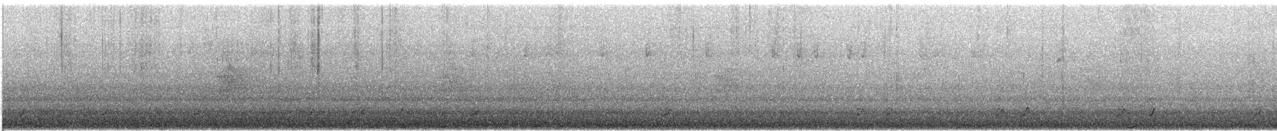 granjerpe (franklinii/isleibi) - ML640100932