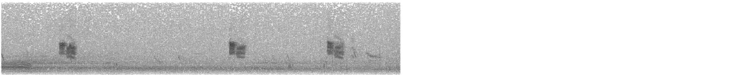 Bruant proyer - ML640101047