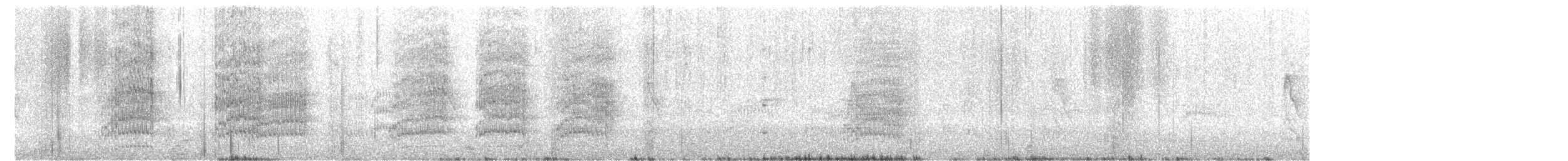 Keşiş Papağanı - ML640101705