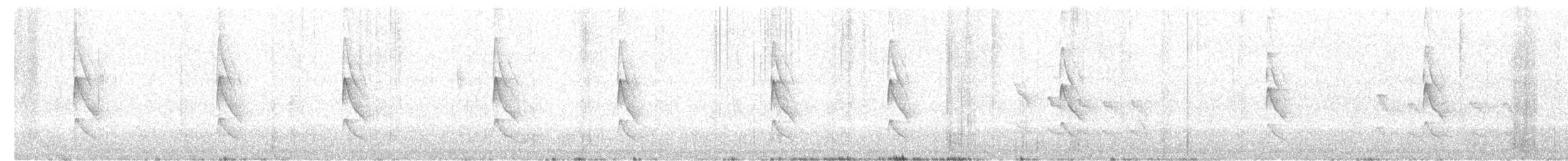 Çako Madencisi - ML640101810