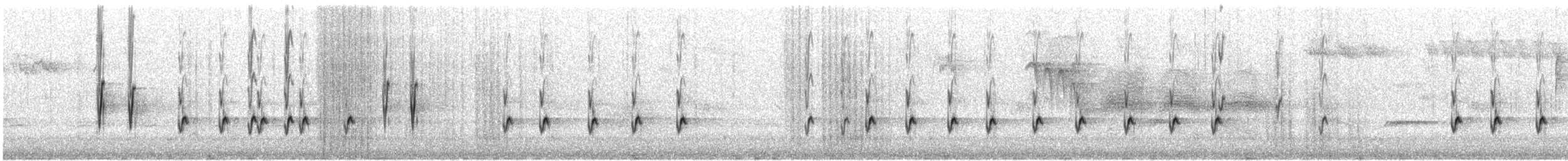 Bec-croisé des sapins (type 4) - ML640103156