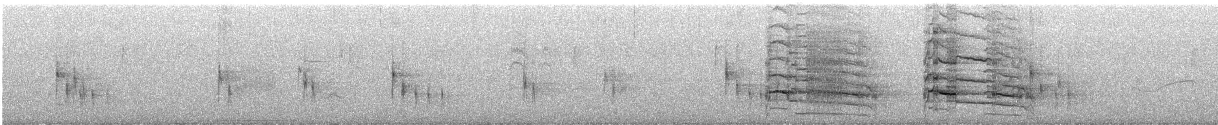 Buteo sp. - ML640103171