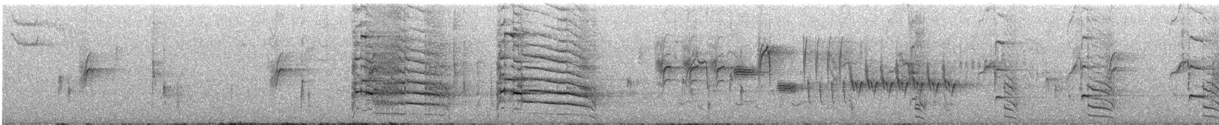 Buteo sp. - ML640103172