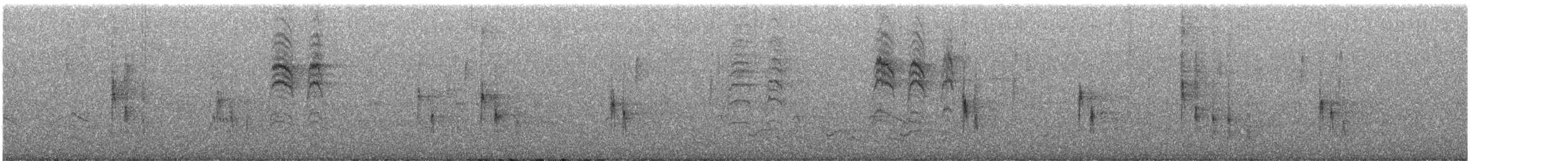 leskot modrošedý - ML640103177