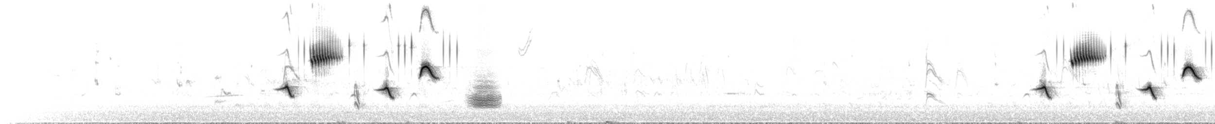 Sierra Madre Sparrow - ML640103917