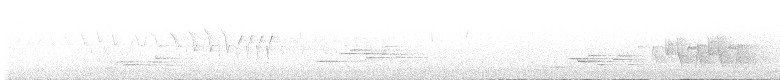 Connecticut Warbler - ML640104034
