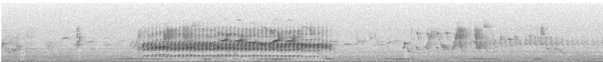 Tyranneau suiriri - ML640105099