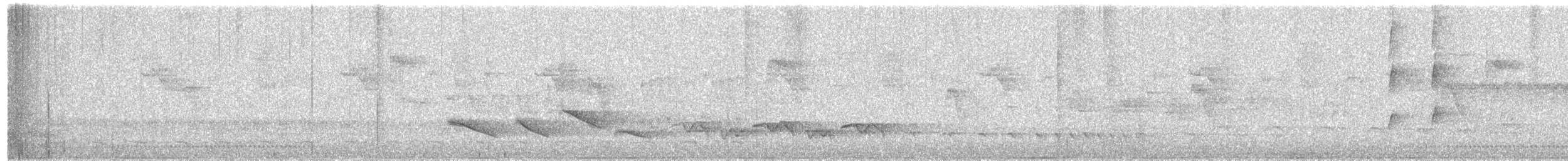 White-breasted Tapaculo - ML640106580