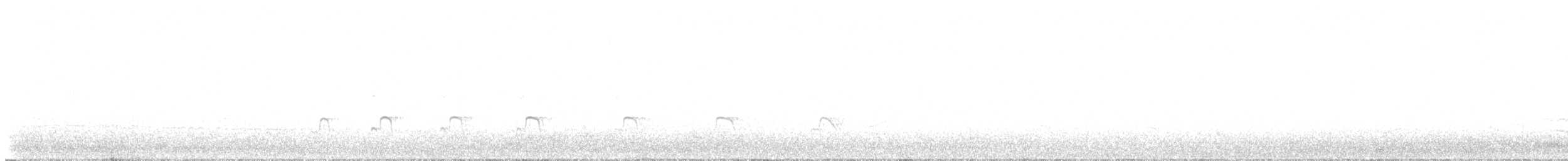 Eurasian Oystercatcher - ML640107793