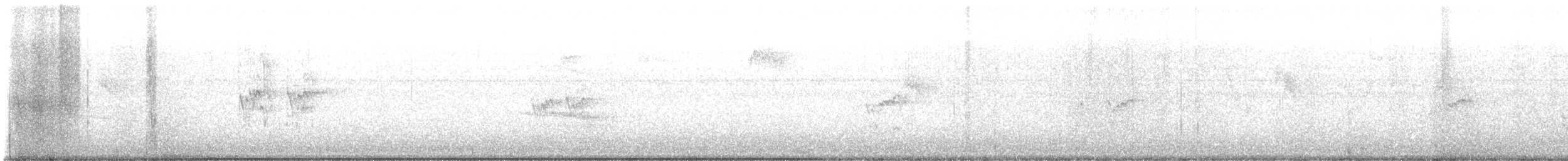 pygmésnipe - ML640108481
