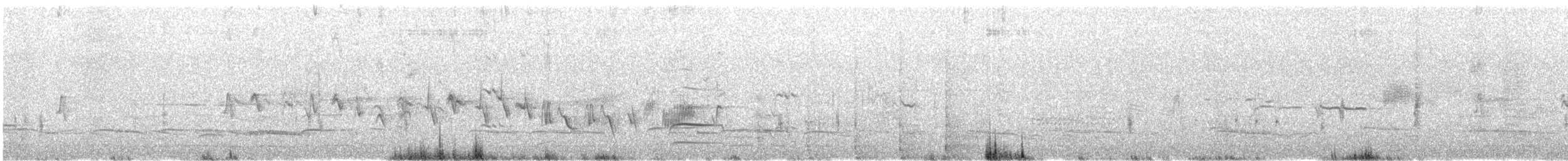 Barge marbrée - ML640110127