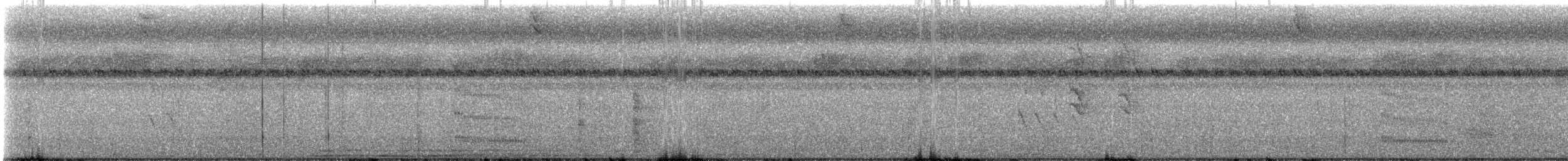 Southern Bentbill - ML640111355