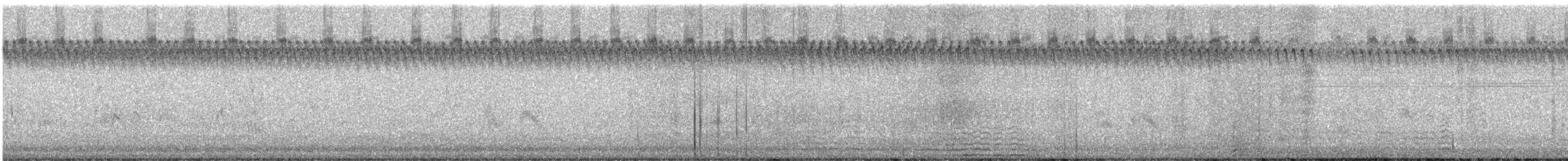 Purple Martin - ML640111516