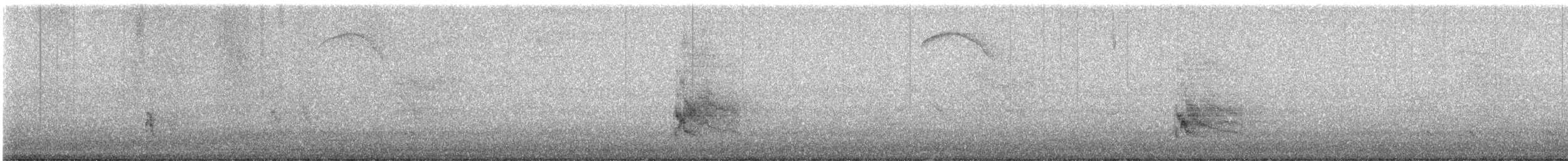 Northern Mockingbird - ML640111523