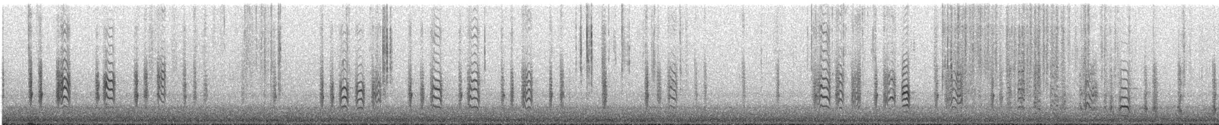 Weißbrustkleiber [lagunae-Gruppe] - ML640112106