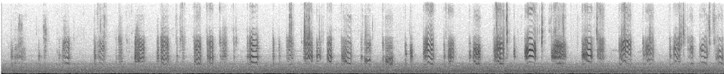 Weißbrustkleiber [lagunae-Gruppe] - ML640112109