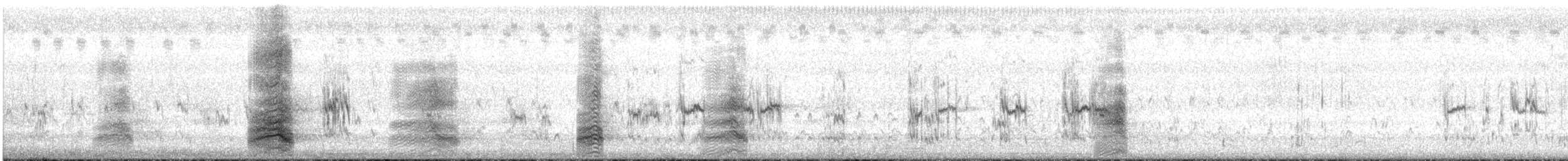 Sterne caspienne - ML640114820