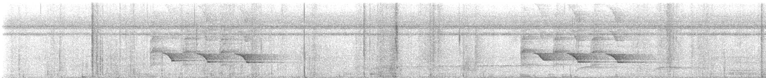 tanımsız Passeriformes sp. - ML640115149